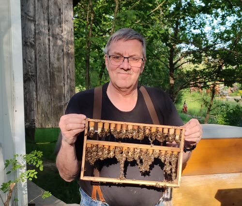 Ein Imker zeigt einen Rahmen mit Bienen.