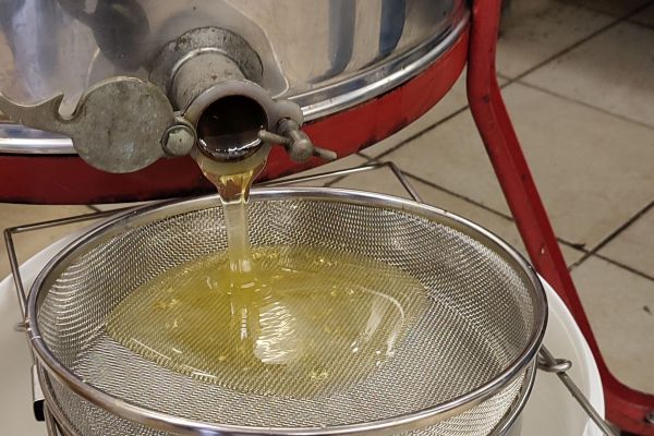 Honig läuft aus einem Edelstahlfass durch ein Sieb.